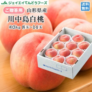 ジェイエイてんどうフーズ お中元 ギフト 【秀品】 山形県産 白桃 川中島 約3kg (8〜14玉)  早期予約　もも 桃 ピーチ pc03