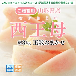 ジェイエイてんどうフーズ【早期予約・ギフト】 山形県産 白桃 『西王母』 約3kg（6〜12玉） 旬 産地直送 ※9月中旬頃より順次出荷予定 p