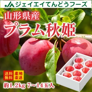 【贈答用】 秀品 プラム 『秋姫』 約1.2kg （玉数おまかせ） 山形県産  pl04