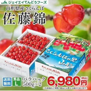 ジェイエイてんどうフーズ お中元 ギフト 贈答用 さくらんぼ 山形県産 佐藤錦 約500g×2 秀品 L玉 バラパック 早期予約 6月中旬〜下旬に