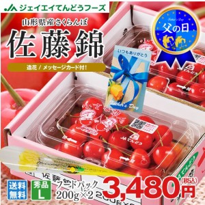 【父の日ギフト】 さくらんぼ 山形県産 『佐藤錦』 約200g×2 秀品 L玉 フードパック ●早期予約● 6月10日〜15日に出荷 rc12