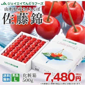 贈答用 さくらんぼ 山形県産 佐藤錦 約500g 秀品 L玉 化粧箱入り 早期予約 6月下旬に出荷予定 rc17 heat24_g