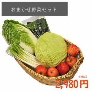 ジェイエイてんどうフーズ 【山形市場厳選】 おまかせ 野菜 セット