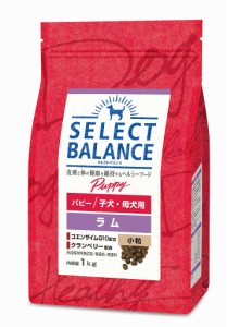 セレクトバランス　パピー　ラム　小粒　子犬・母犬用　1kg【ドッグフード】【正規品】