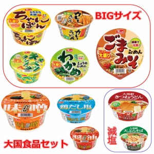 新着 新発売 大国食品 レギュラーサイズ カップ麺 に ビッグサイズも入った 10種 20個セット 関東圏送料無料