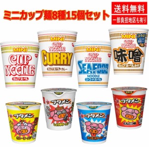 日清食品  カップヌードル ミニシリーズ4種　おやつカンパニー ブタメン 4種 コラボ 8種15個セット 関東圏送料無料