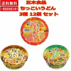 五木食品 ちっこいうどん ちっこいにゅうめん ミニ カップ麺 3種12個セット 関東圏送料無料