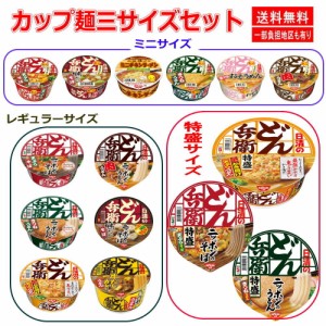 日清食品 日清どん兵衛 ファミリーセット 天ぷらそば(西) きつね(西) カレー(西)  かき揚げ 鴨だし 肉うどん そうめん