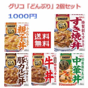 1000円均一 送料無料 グリコ どんぶり亭 2個セット 即食 時短食 レトルト 食品 パック 牛丼 豚カルビ丼 DONBURI亭