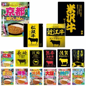 全国ご当地 レトルトカレー祭り JTBトラベルるるぶ雑誌とハチ食品レトルトカレーのコラボに 響人気ご当地牛肉カレーも追加した15種15個セ