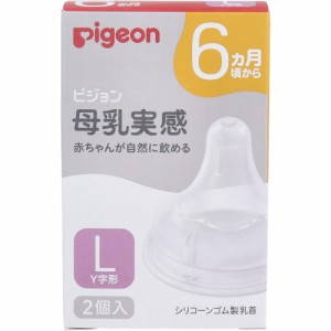 ピジョン 母乳実感乳首 6ヵ月頃から Lサイズ Y字形 2個入