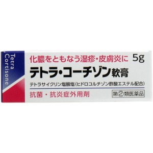 【指定第2類医薬品】 テトラコーチゾン軟膏 5g