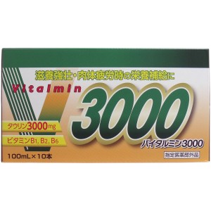 バイタルミン３０００ １００ｍＬ×１０本入