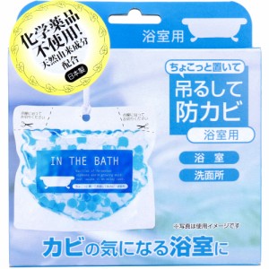 ちょこっと置いて吊るして防カビ 浴室用 160g