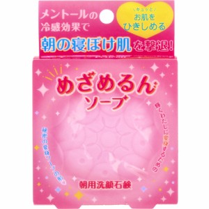 朝用洗顔石鹸 めざめるんソープ 90g