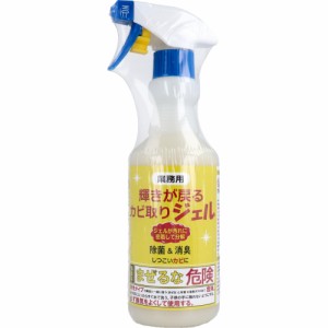 【業務用】 輝きが戻る カビ取りジェル 500mL