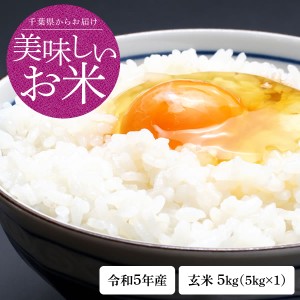 新米 米 お試し お米 送料無料 令和5年 千葉県産 ふさこがね 玄米 5kg ※一部地域へのお届けは別途送料が発生