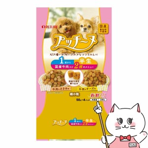 ペットライン プッチーヌ 半生 1歳から 国産牛肉入り 200g(50g×4)[happiest](6027178)