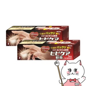 【第3類医薬品】[セット]ヒビケア軟膏 35g×2個[株式会社池田模範堂][送料無料](6043013-set1)