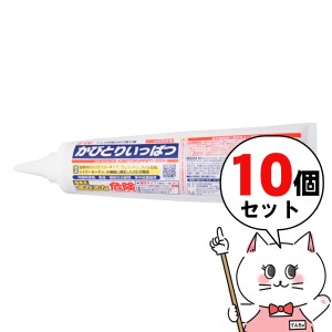 [10個セット]鈴木油脂 かびとりいっぱつ 500g×10個[風呂掃除 洗剤 ゴム タイル 強力 業務用 カビ落とし 除去][送料無料](6053435-set1)