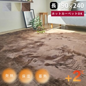 あったか 発熱 蓄熱 保湿 ラグ カーペット 190×240 長方形 秋 冬 保温 ホットカーペット対応 フランネル パイル短 軽量 薄い 電気を使わ