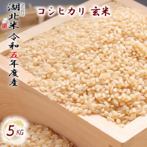 [令和５年度産] コシヒカリ [玄米] ５kg お米 湖北米 特別栽培米 [送料無料(一部除く)] １等米 滋賀県 湖北町 減農薬栽培 有機栽培