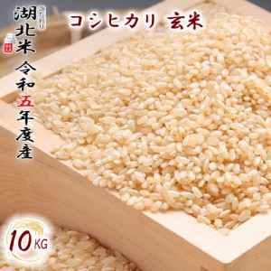 [令和５年度産] コシヒカリ [玄米] １０kg お米 湖北米 特別栽培米 [送料無料(一部除く)] １等米 安心 安全 滋賀県 湖北町 減農薬栽培 有