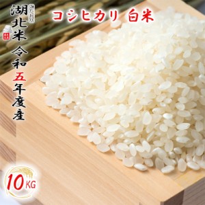 [令和５年度産] コシヒカリ [白米] １０kg お米 湖北米 特別栽培米 [送料無料(一部除く)] １等米 安心 安全 滋賀県 湖北町 減農薬栽培 有