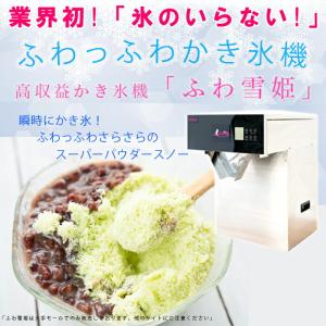 ふわふわ かき氷器の通販 Au Pay マーケット