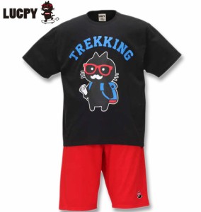 大きいサイズ LUCPY 半袖Tシャツ+ミニ裏毛ハーフパンツ 上下セット 3L 4L 5L 6L/1158-9207-2-59