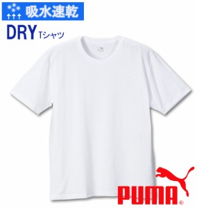 大きいサイズ PUMA DRYハニカム半袖Tシャツ 3L 4L 5L 6L 8L/1178-4205-1-19