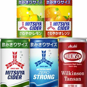 ふるさと納税 三ツ矢サイダー 缶250ml(20本入×２) 兵庫県明石市