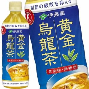 【4〜5営業日以内に出荷】伊藤園 ［特保・トクホ］ 黄金烏龍茶 500mlPET×24本［賞味期限：2ヶ月以上］