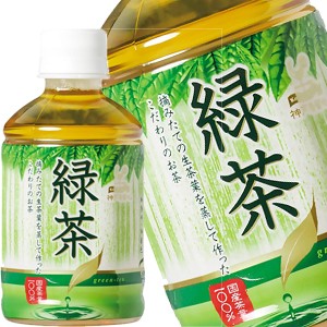 神戸居留地 緑茶 280mlPET×48本［24本×2箱］ ［賞味期限：3ヶ月以上］ ［送料無料］  【6月14日出荷開始】