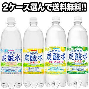 【送料無料】 サンガリア 炭酸水1000mlPET×12本×2ケースセット 選り取り よりどり ［賞味期限：2ヶ月以上］ 【5〜8営業日以内に出荷】