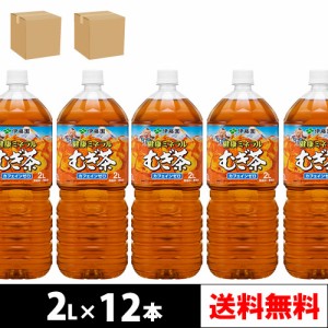 伊藤園 健康ミネラルむぎ茶 2L PET 6本入り × 2ケース【4〜5営業日以内に出荷】【送料無料】