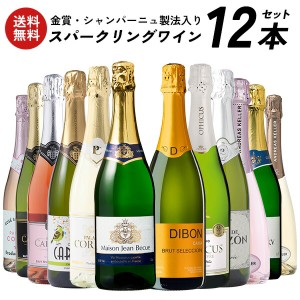 金賞 シャンパーニュ製法入り スパークリングワイン 12本セット [W][WT8] 【4〜5営業日以内に出荷】【送料無料】ワインセット 金賞ワイン