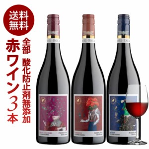 [W] お試し 酸化防止剤無添加ワイン ピッツォラート 赤ワイン 3本 セット［冷蔵のみ］オーガニックワイン オーガニック認証 ヴィーガン認