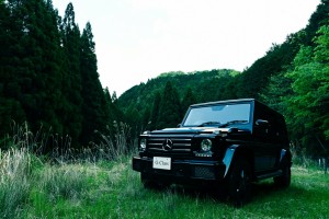 ベンツ Gクラス AMG G63 G550 G350d W463【張替用】アートボード/アートパネル artmart アートマート 車_ベンツ_g-class_dsc_2181