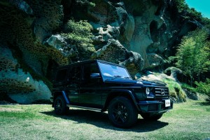 ベンツ Gクラス AMG G63 G550 G350d W463【張替用】アートボード/アートパネル artmart アートマート 車_ベンツ_g-class_dsc_2473