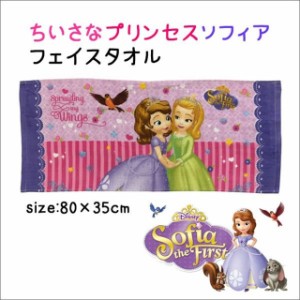 ディズニー プリンセス タオルケットの通販 Au Pay マーケット