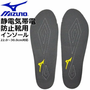 【2点までゆうパケット可】インソール 静電気帯電防止シューズ用 安全靴用 22.0cm-30.0cm 通気性 中敷き メンズ レディース mizuno F1GU2