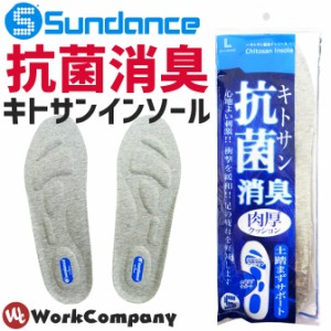 2点までゆうパケット可  インソール サンダンス(sundance) キトサン抗菌消臭インソール 中敷き KS-306 メンズ 24.0cm-28.0cm