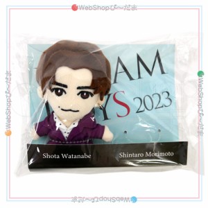 DREAM BOYS 2023 ぬいぐるみマスコット 渡辺翔太 Snow Man◆新品Ns【即納】