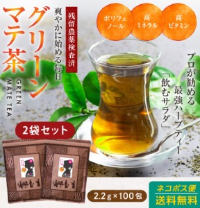 (2袋セット)マテ茶(グリーンマテ茶）ティーパック バッグ 2.2g×100包 送料無料 飲むサラダ ハーブティー 健康茶 美容 ダイエット