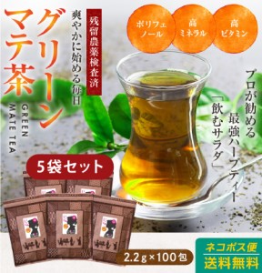 (5袋セット)マテ茶(グリーンマテ茶）ティーパック バッグ 2.2g×100包 送料無料 飲むサラダ ハーブティー 健康茶 美容 ダイエット