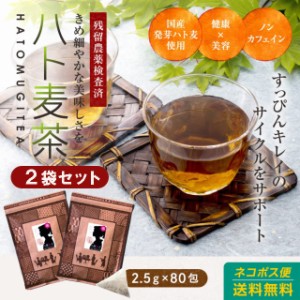 (2袋セット)はと麦茶 国産 発芽はと麦茶 ティーバッグ(パック) 200g(2.5g×80包) 水出し可 ハトムギ茶 鳩麦茶 はとむぎ茶 ハト麦茶 残留