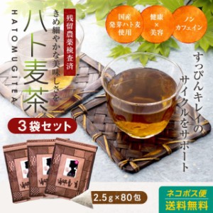(3袋セット)はと麦茶 国産 発芽はと麦茶 ティーバッグ(パック) 200g(2.5g×80包) 水出し可 ハトムギ茶 鳩麦茶 はとむぎ茶 ハト麦茶 残留