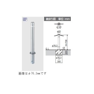 三協アルミ ビポールBP T-60KN φ60mm 固定式 チェーン通過タイプ 