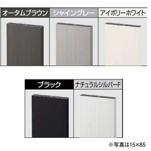 リクシル デザイナーズパーツ 平板 15×100壁付用 L=2000 アルミ形材カラー 8TYD11□□ 『外